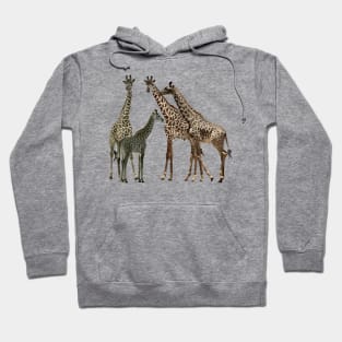 Giraffe - Family on Safari in Kenya / Africa Hoodie